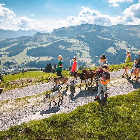 Studio Taxacher By Interhome